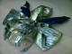 Blanc Bleu Flamme Carénage Moto CBR 600 RR 2005-2006