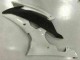 Blanc Carénage Moto R6 2008-2016 Blanc Carénage Moto R6 2008-2016