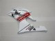 Blanc Carénages Moto & Carrosserie R6 2008-2016