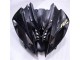 Brillant Noir Mat Carénage Moto R6 2008-2016