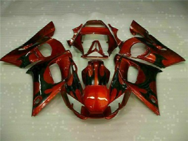Brun Carénages Moto R6 1998-2002