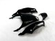 Noir Vert Carénage Moto ZX14R ZZR 1400 2012-2021