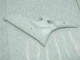 Non Peint Carénages Moto R6 2006-2007 Non Peint Carénages Moto R6 2006-2007