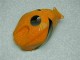 Orange Noir Repsol Carrosserie Moto CBR 600 RR 2005-2006