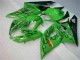 Vert Carénage Moto GSXR 1000 K5 2005-2006