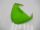 Vert Carrosserie Moto ZX6R 2005-2006 Vert Carrosserie Moto ZX6R 2005-2006