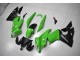 Vert Noir Carénage Moto EX650 2009-2011