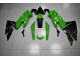 Vert Noir Carénages Moto EX650 2009-2011