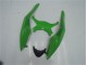 Vert Noir Carrosserie Moto ZX6R 2009-2012 Vert Noir Carrosserie Moto ZX6R 2009-2012