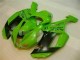 Vert Noir Dunlop Carénage Moto ZX6R 2007-2008 Vert Noir Dunlop Carénage Moto ZX6R 2007-2008