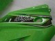 Vert Noir Kit Carénages Motos Complet EX250 2008-2012 Vert Noir Kit Carénages Motos Complet EX250 2008-2012
